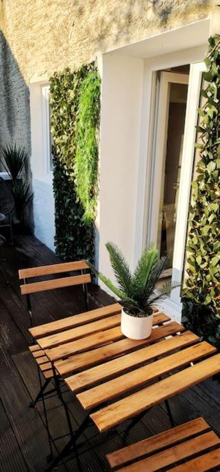 卡尔卡松#New#Terrasse Sud Ouest#Pied De La Cite #1公寓 外观 照片